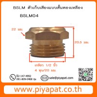 BSLM04 รูปโชว์